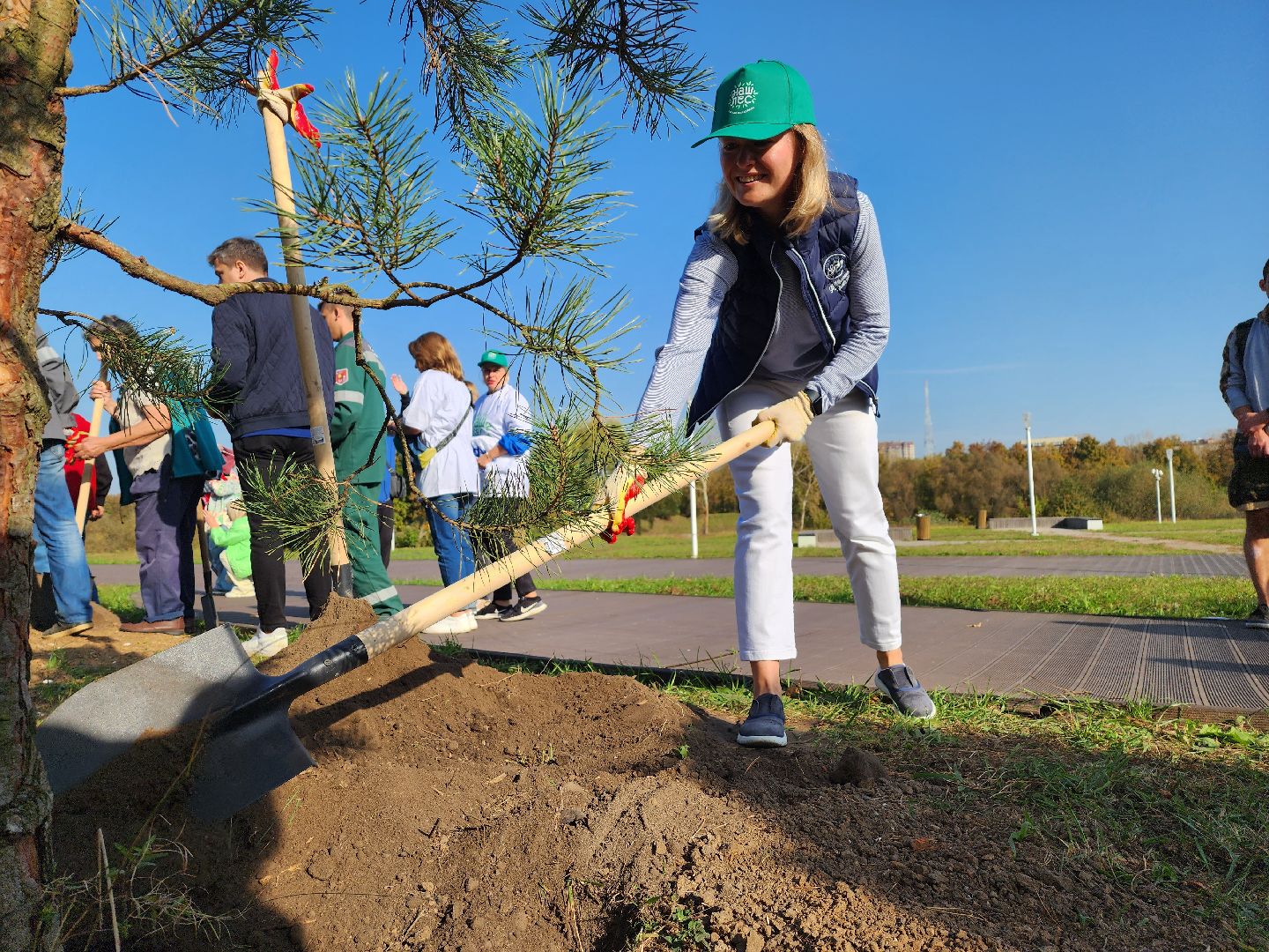 воскресенск, наш лес, сосны, благоуйстройство, жители,