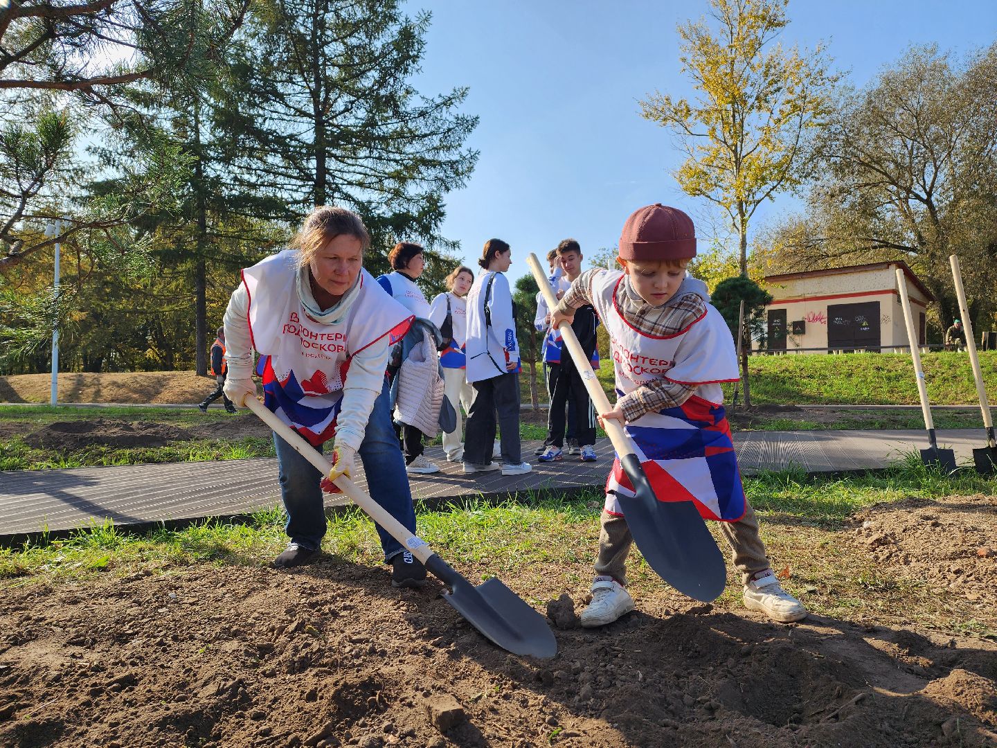 воскресенск, наш лес, сосны, благоуйстройство, жители,