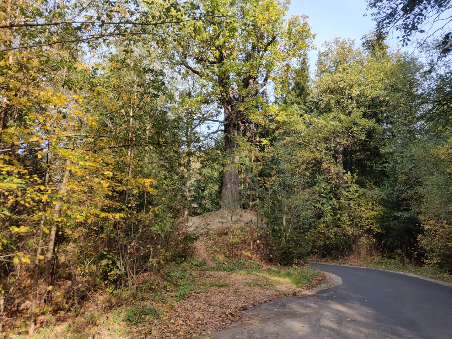 красноармейск, г.о. пушкинский, история, краеведение, путешествия по подмосковью,