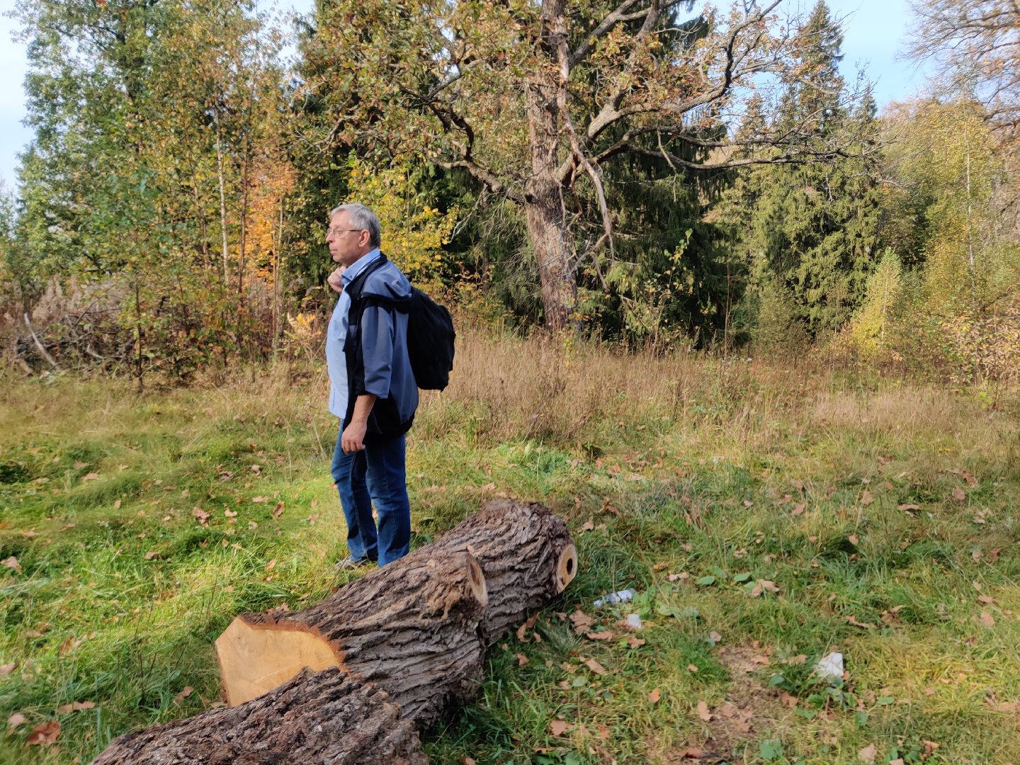 красноармейск, г.о. пушкинский, история, краеведение, путешествия по подмосковью,