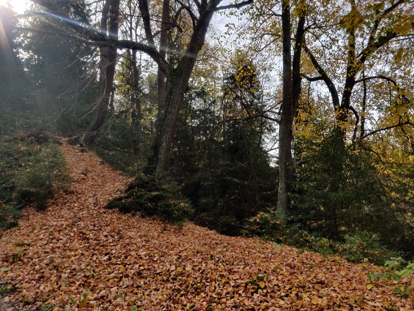 красноармейск, г.о. пушкинский, история, краеведение, путешествия по подмосковью,