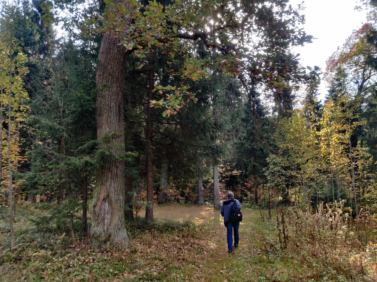 красноармейск, г.о. пушкинский, история, краеведение, путешествия по подмосковью,