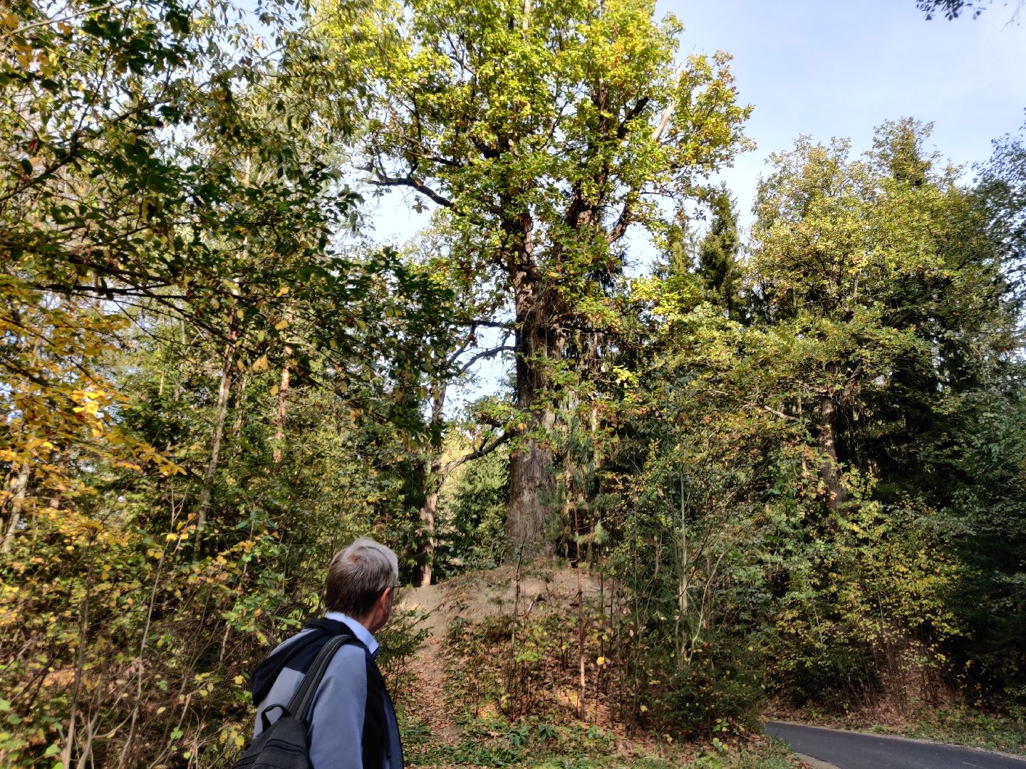 красноармейск, г.о. пушкинский, история, краеведение, путешествия по подмосковью,