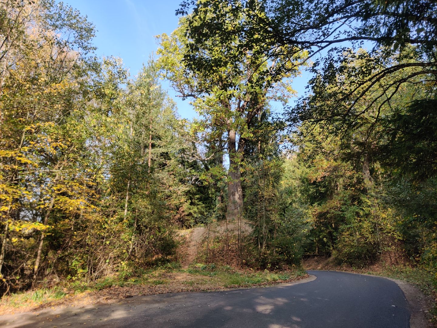 красноармейск, г.о. пушкинский, история, краеведение, путешествия по подмосковью,