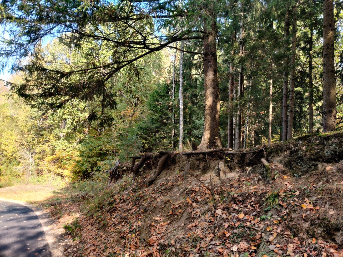 красноармейск, г.о. пушкинский, история, краеведение, путешествия по подмосковью,