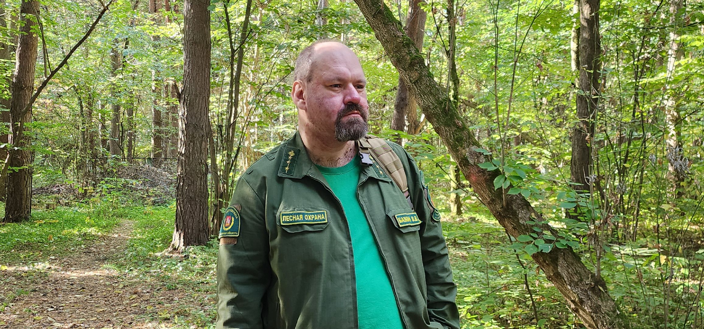 подольск, грибы,