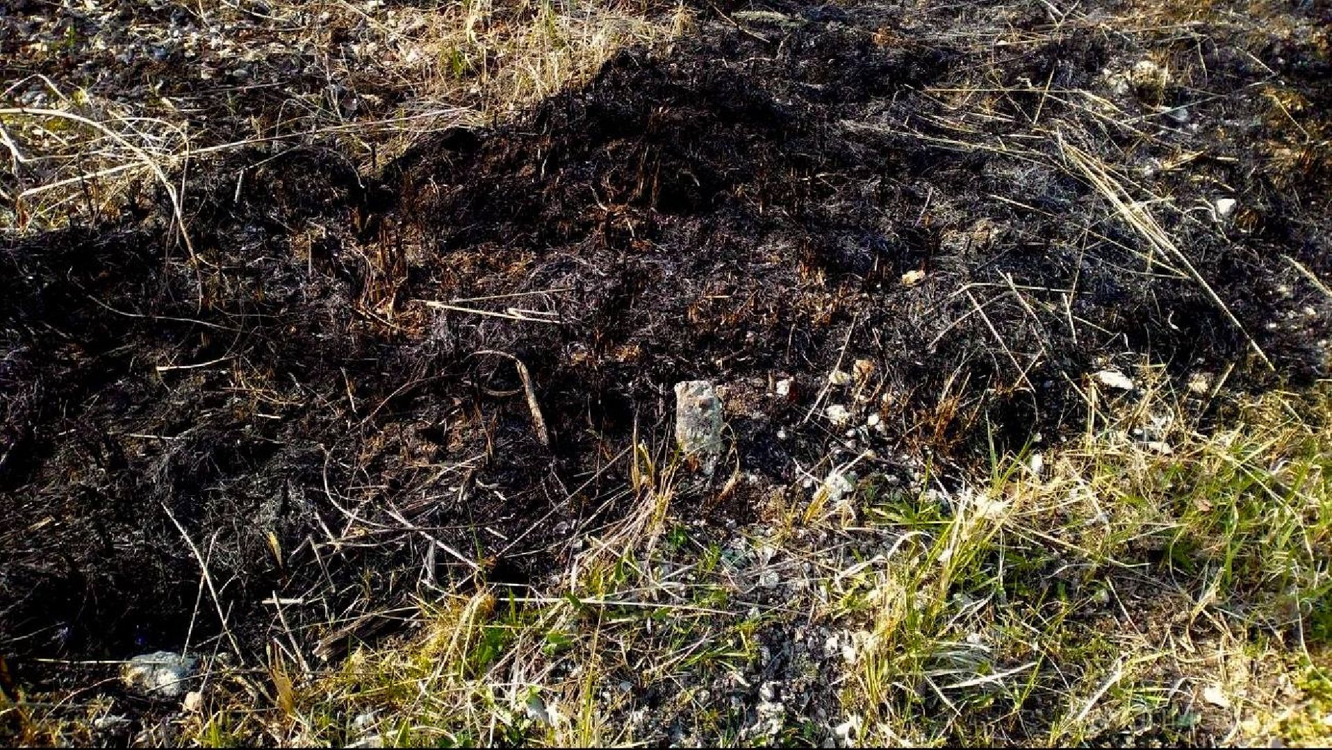 Реутов, Трава, Горение, МЧС,