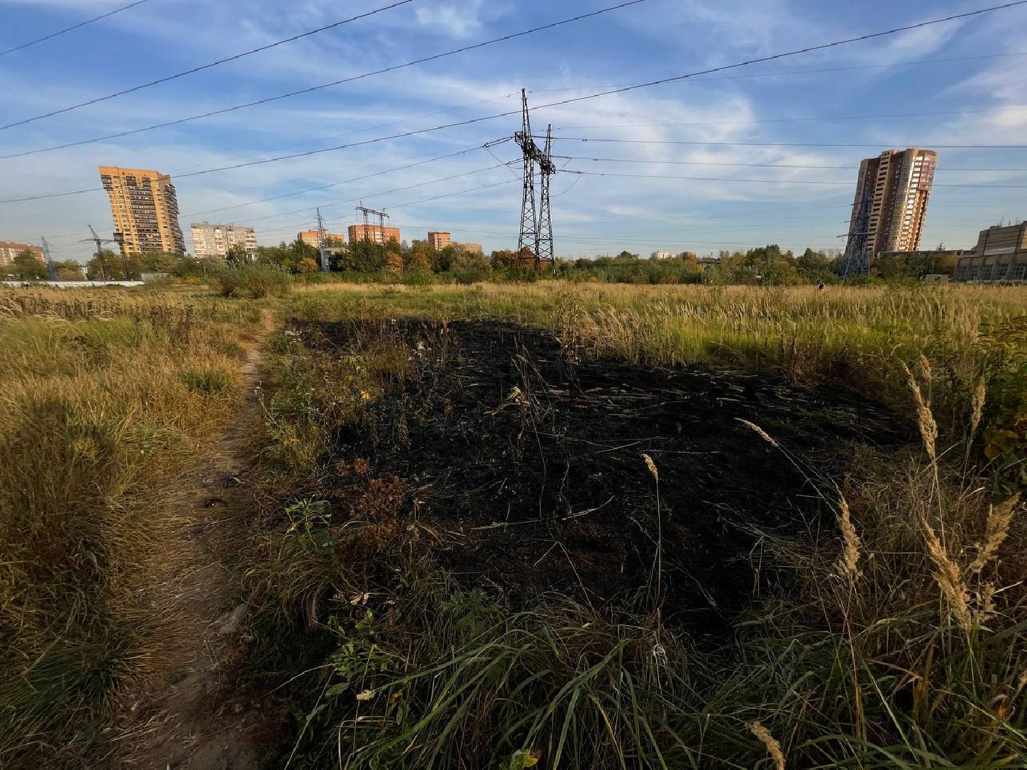 Реутов, Трава, Горение, МЧС,