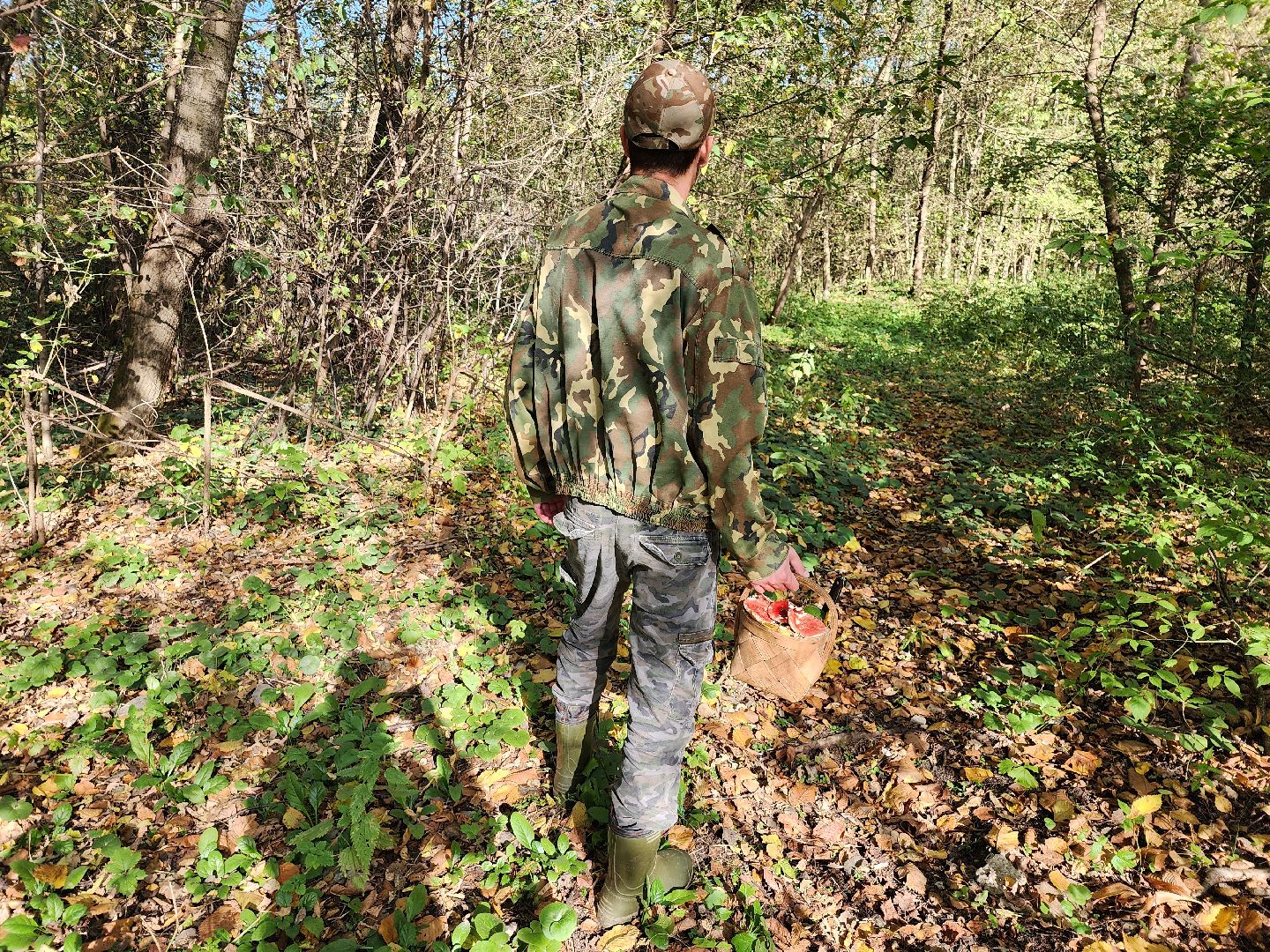 подмосковье, спасатель, грибники, лес, безопасность, московская область,