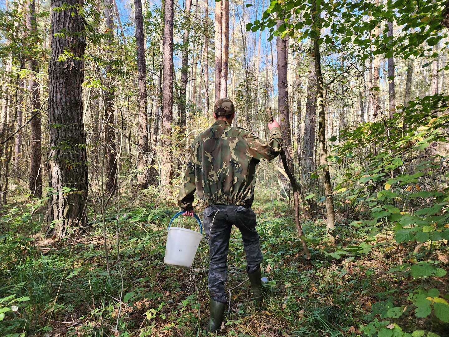 подмосковье, спасатель, грибники, лес, безопасность, московская область,
