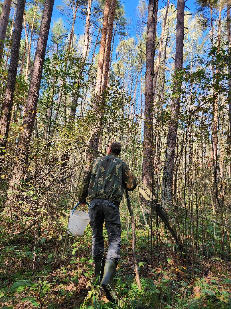 подмосковье, спасатель, грибники, лес, безопасность, московская область,