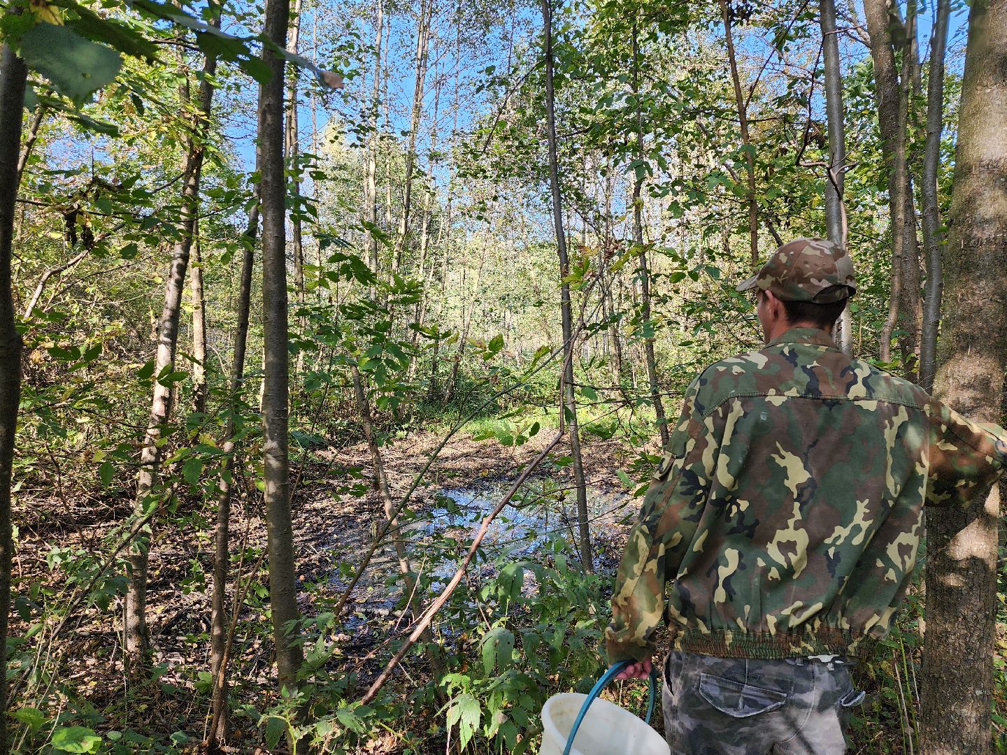 подмосковье, спасатель, грибники, лес, безопасность, московская область,