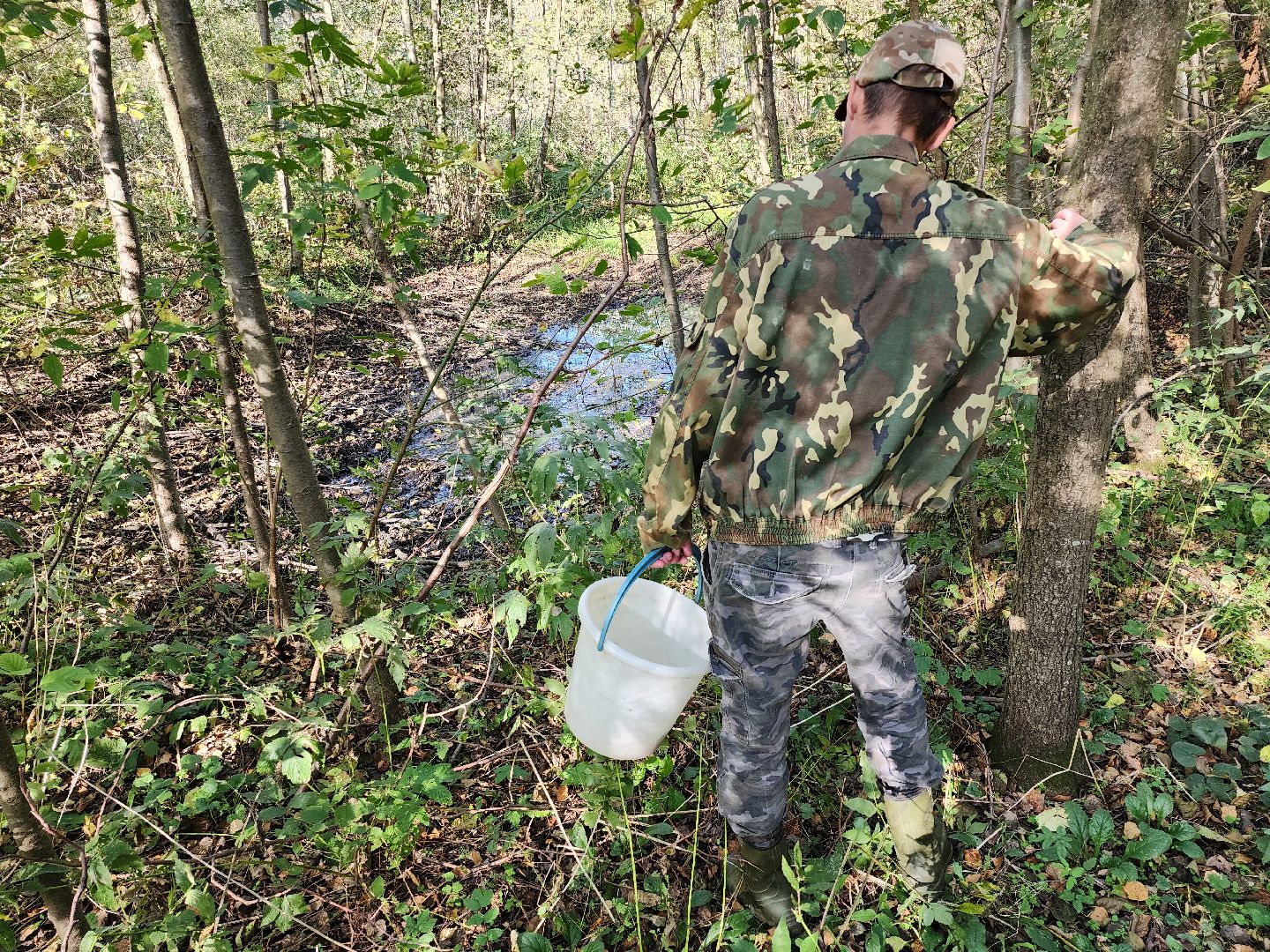подмосковье, спасатель, грибники, лес, безопасность, московская область,