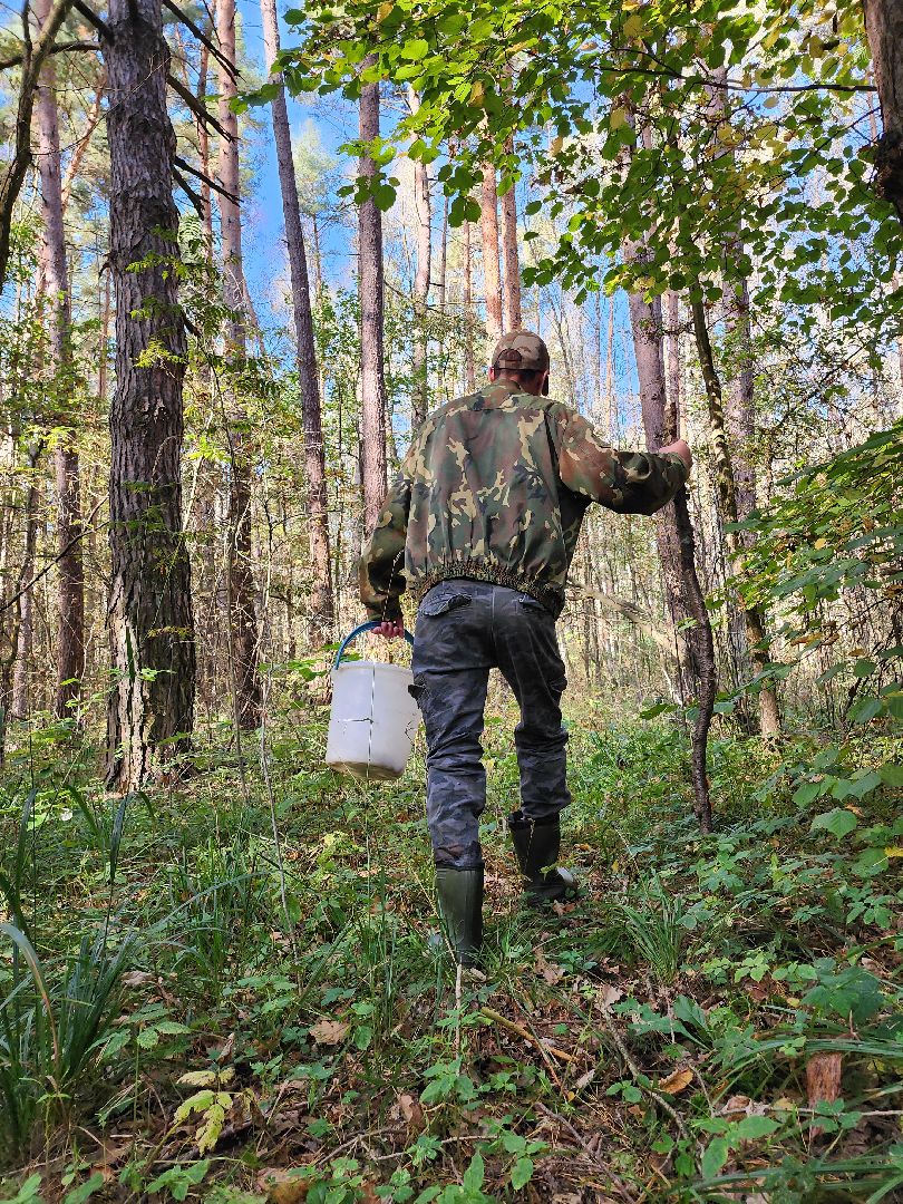 подмосковье, спасатель, грибники, лес, безопасность, московская область,