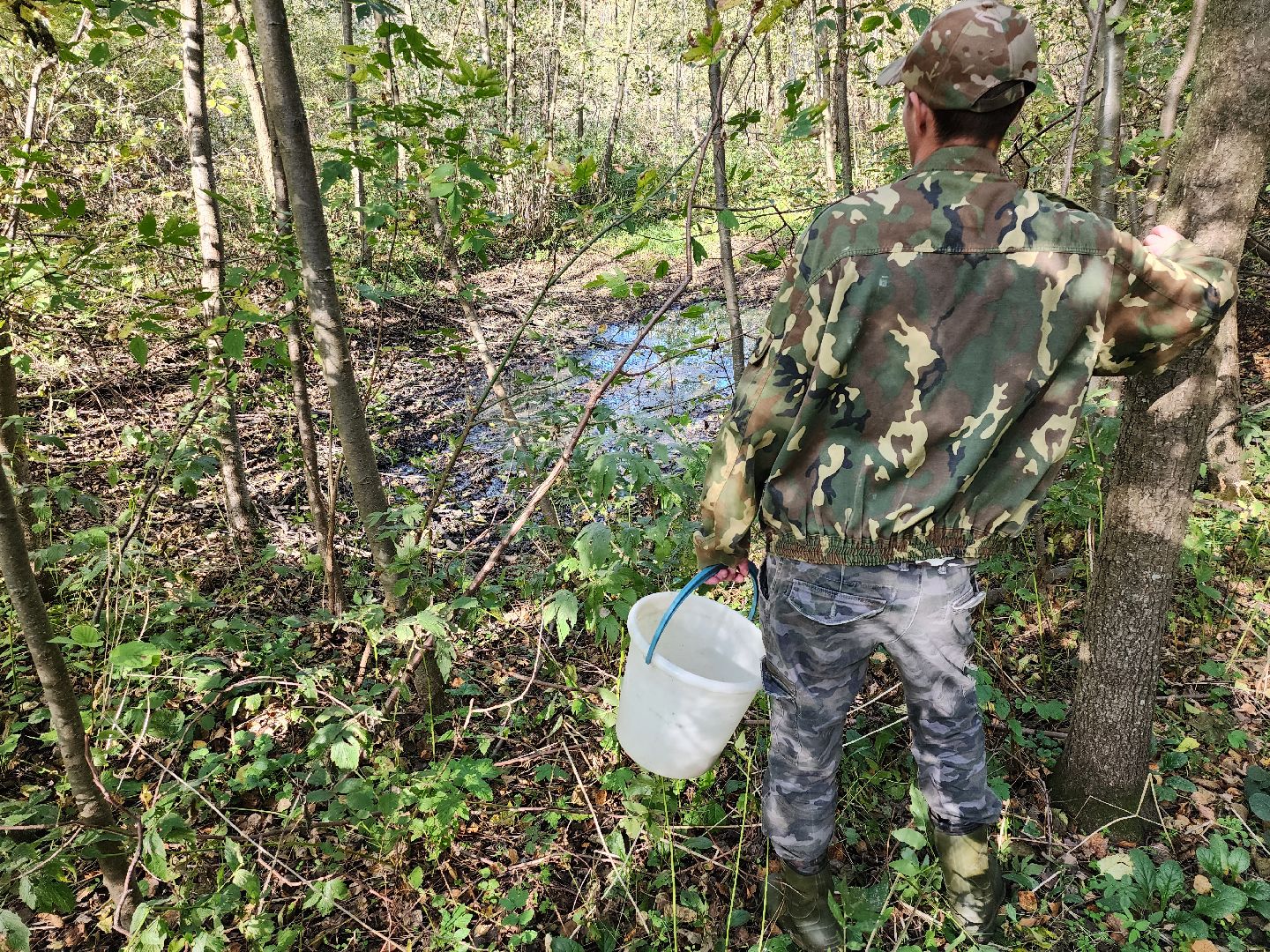 подмосковье, спасатель, грибники, лес, безопасность, московская область,