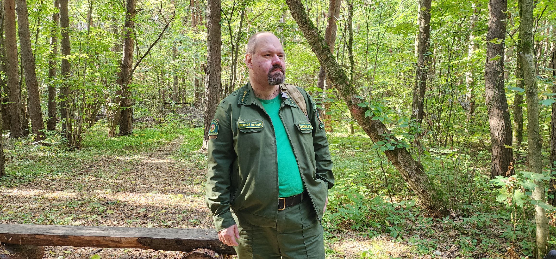 подольск, грибы, лес,