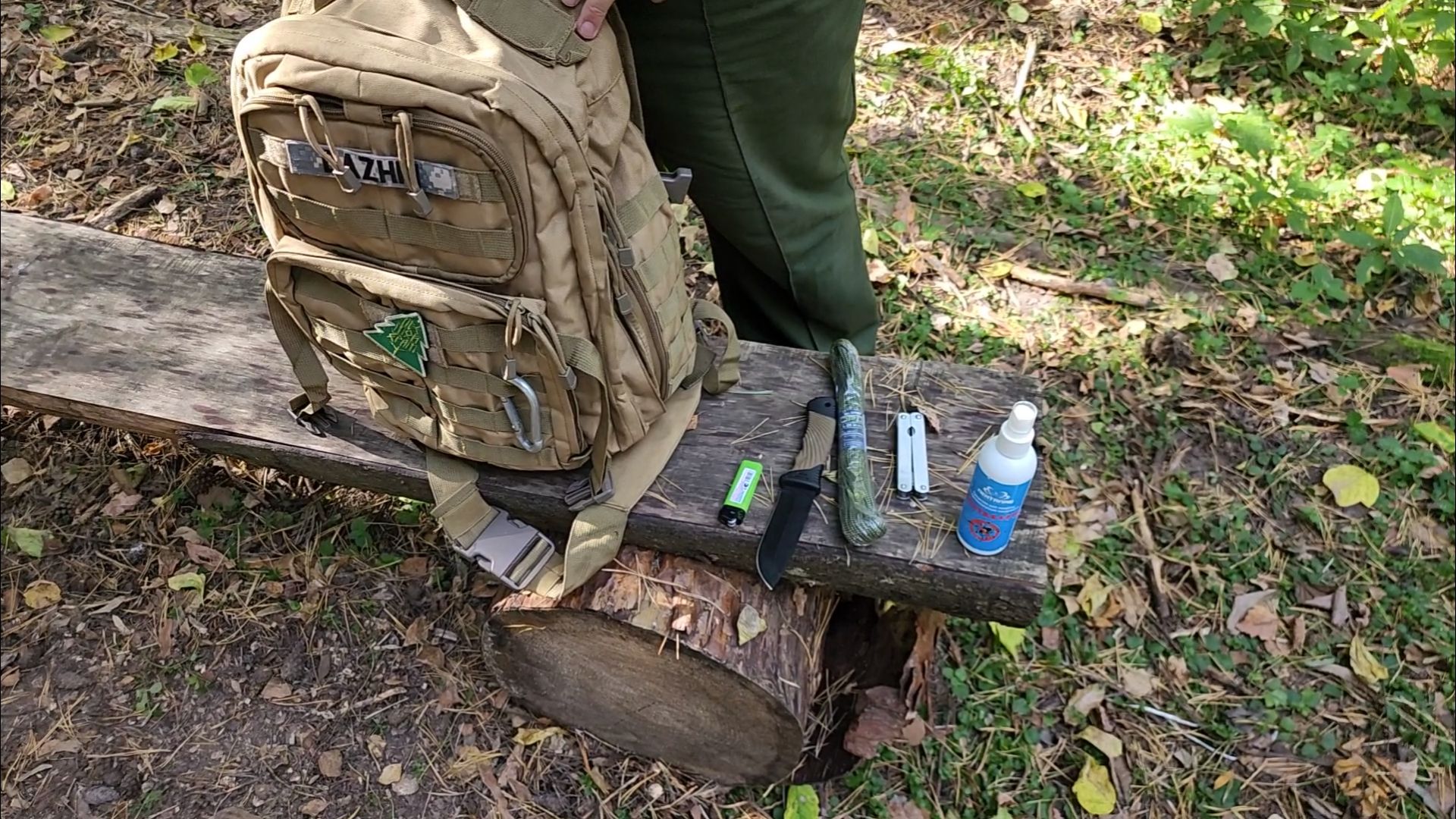 подольск, грибы, лес,