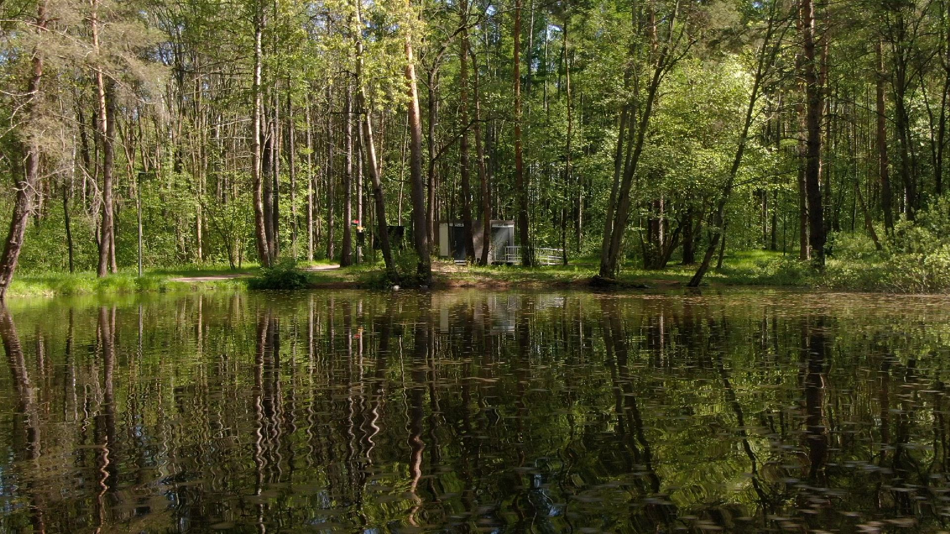 малевич, парк, одинцово,видео с коптера,