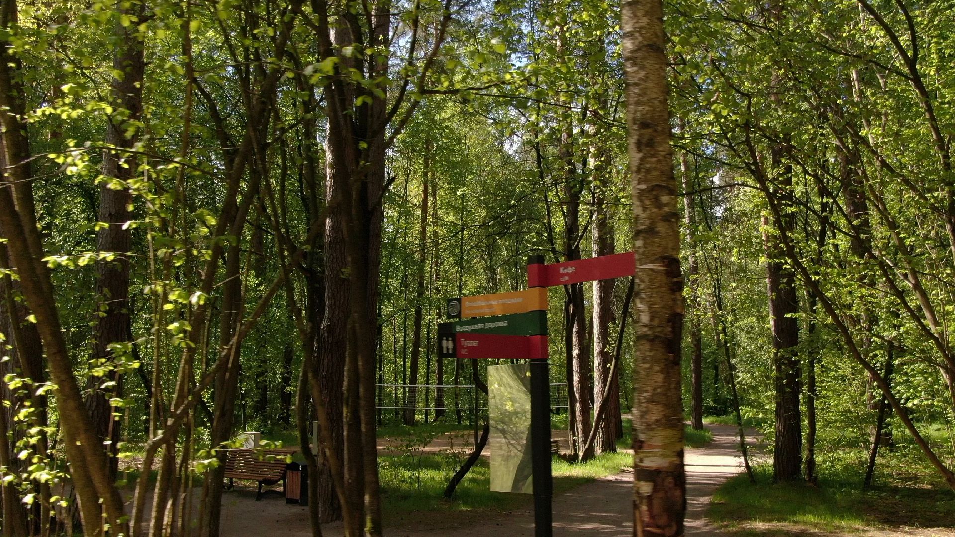 малевич, парк, одинцово,видео с коптера,