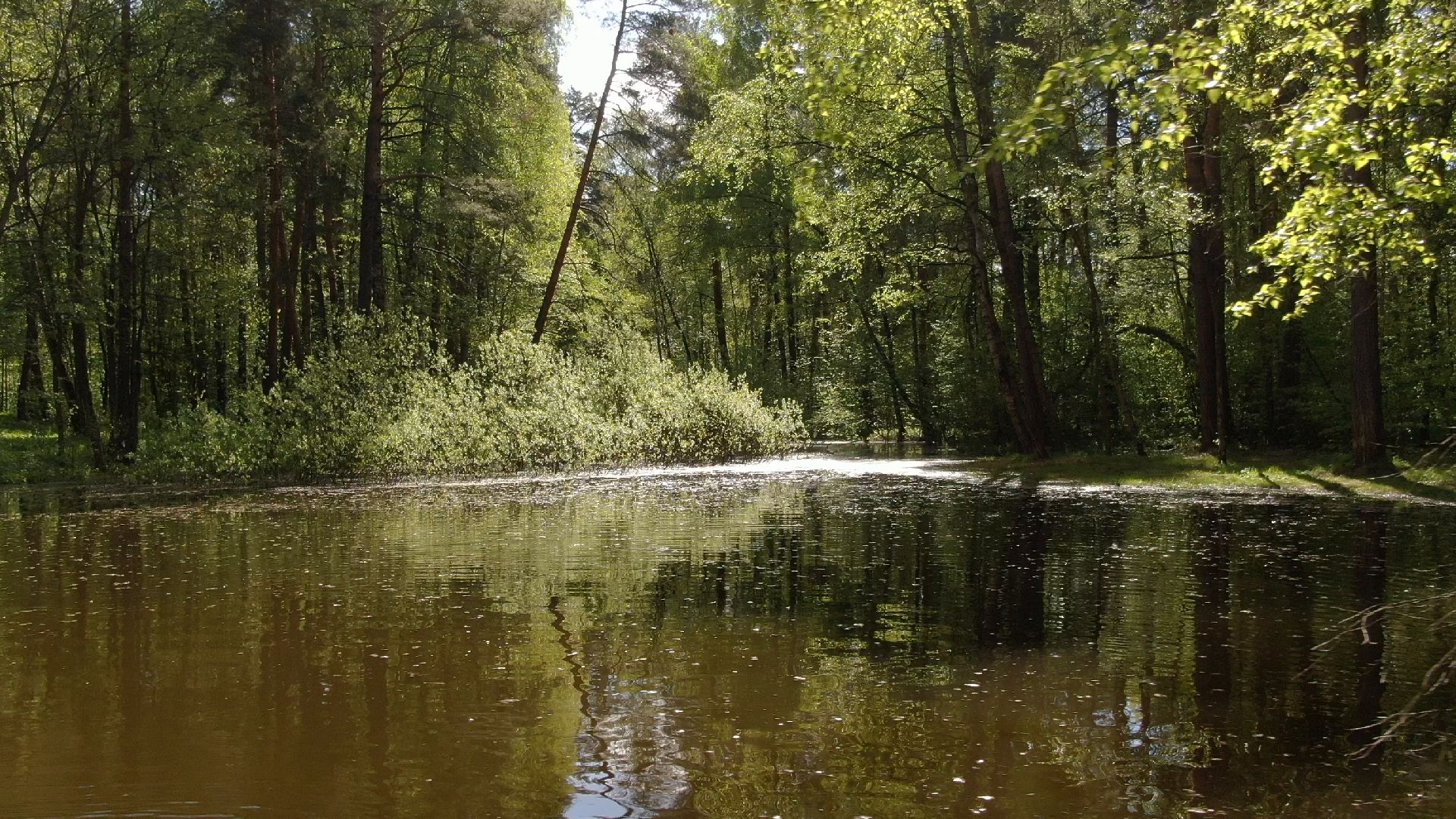 малевич, парк, одинцово,видео с коптера,