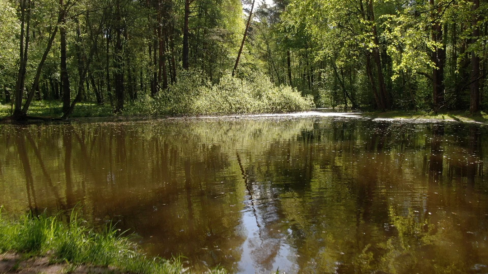 малевич, парк, одинцово,видео с коптера,