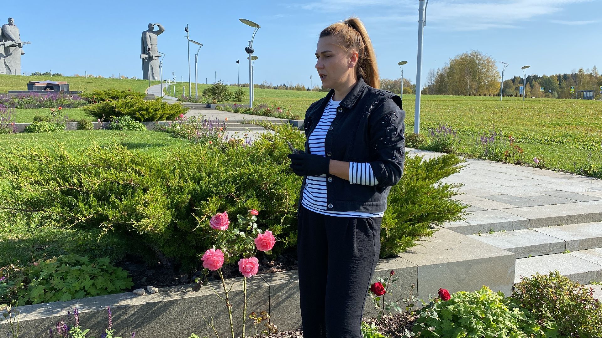 волоколамск, растения, благоуйстройство, озеленение, сад, розы, мнение, советы,