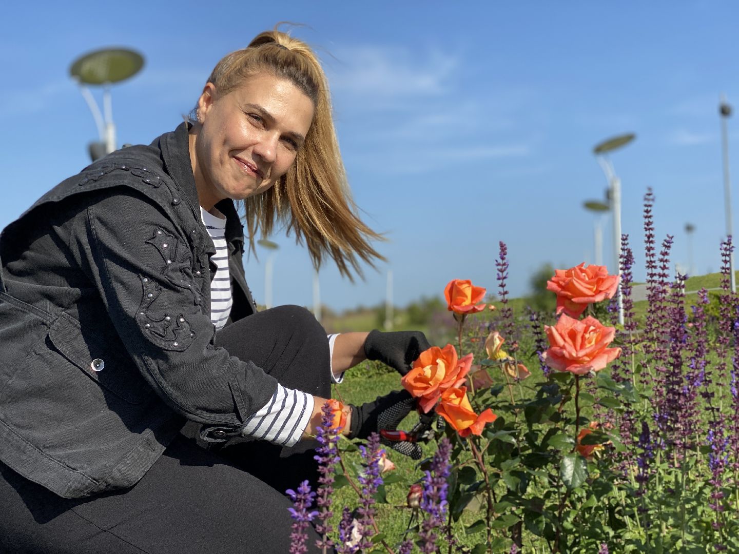 волоколамск, растения, благоуйстройство, озеленение, сад, розы, мнение, советы,