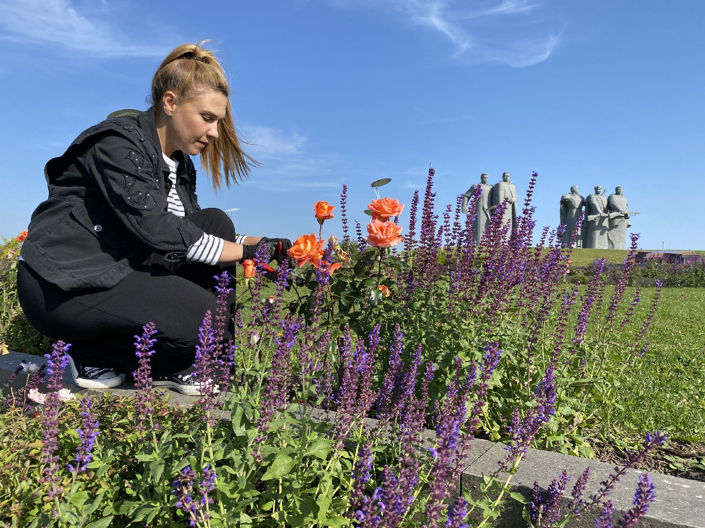 волоколамск, растения, благоуйстройство, озеленение, сад, розы, мнение, советы,