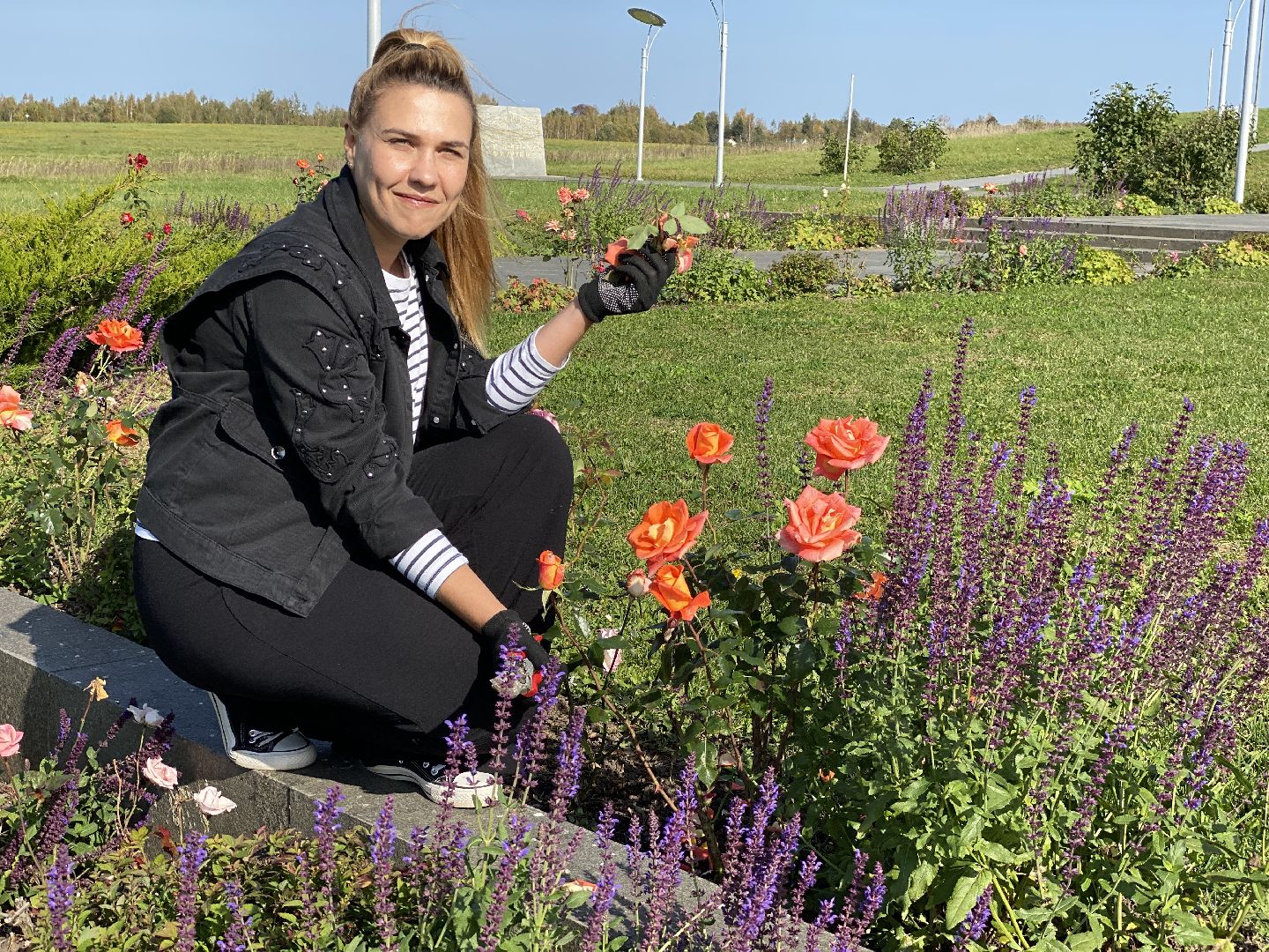волоколамск, растения, благоуйстройство, озеленение, сад, розы, мнение, советы,