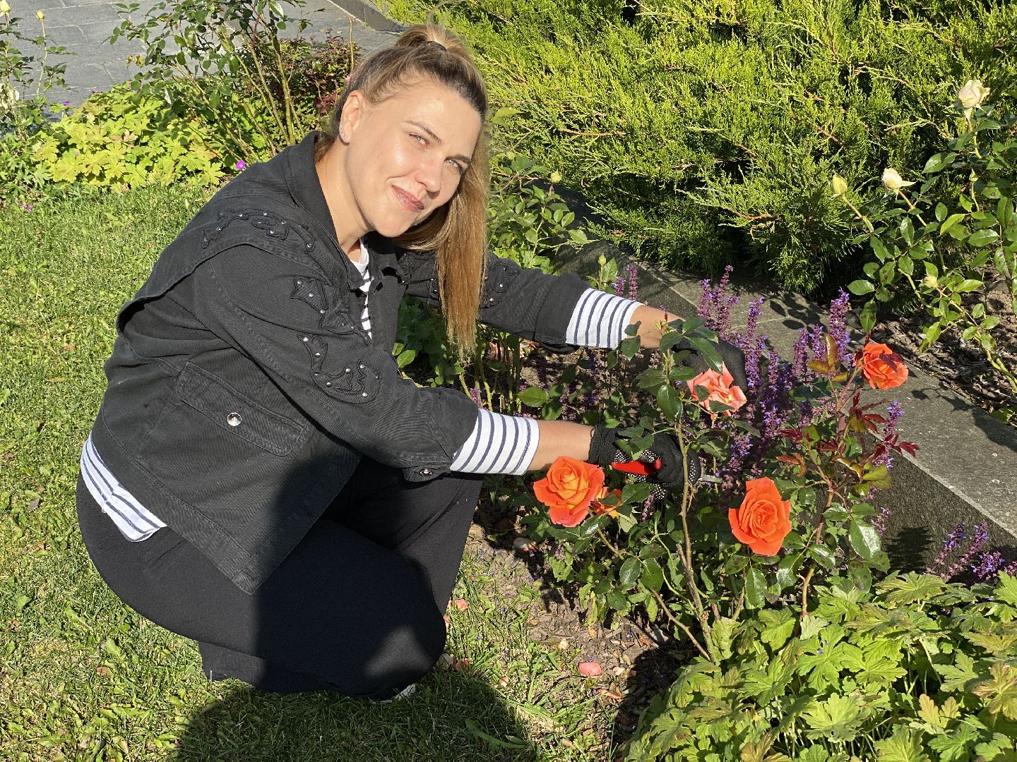 волоколамск, растения, благоуйстройство, озеленение, сад, розы, мнение, советы,