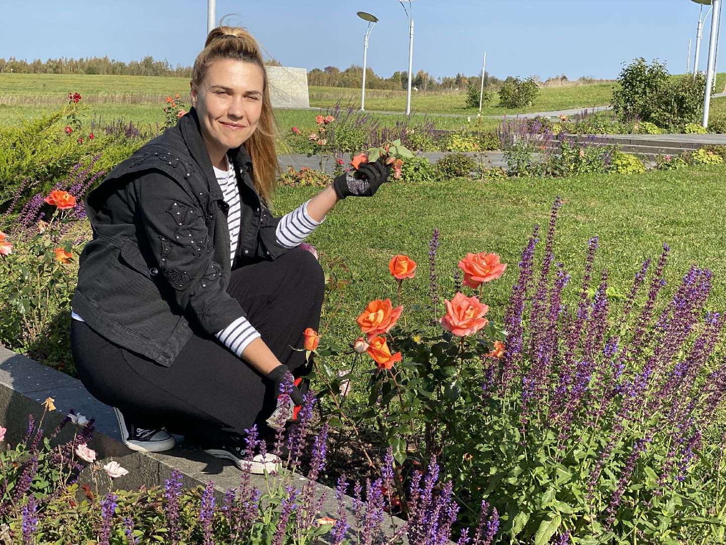 волоколамск, растения, благоуйстройство, озеленение, сад, розы, мнение, советы,