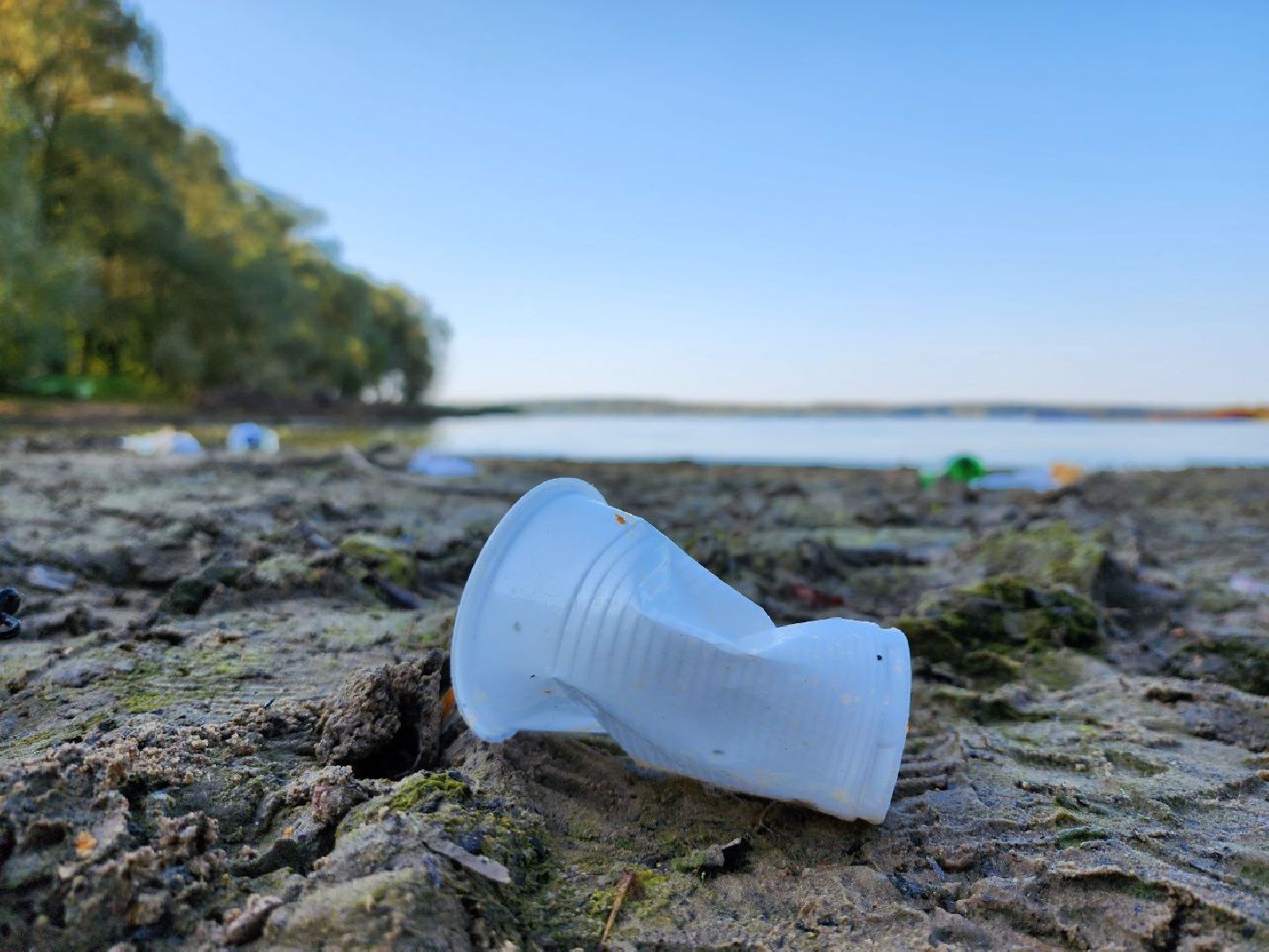 Можайск, Можайский городской округ, Подмосковье, акция, Вода России, берега, реки, озра, субботник, мусор, уборка, береговая линия, Всероссийская акция,