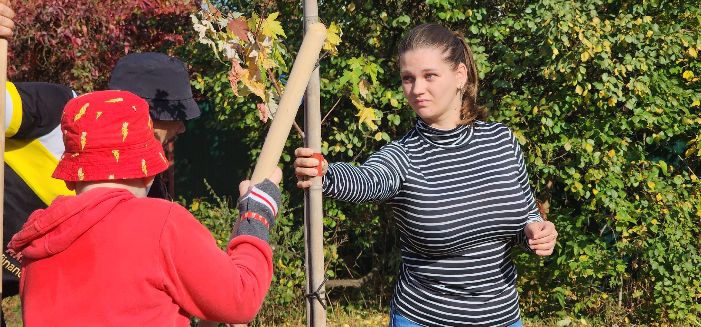 Пушкино, Мособлдума, Наш лес, Чистый лес, Городской округ Пушкинский, Кудринка, общество, экология, жители, люди,