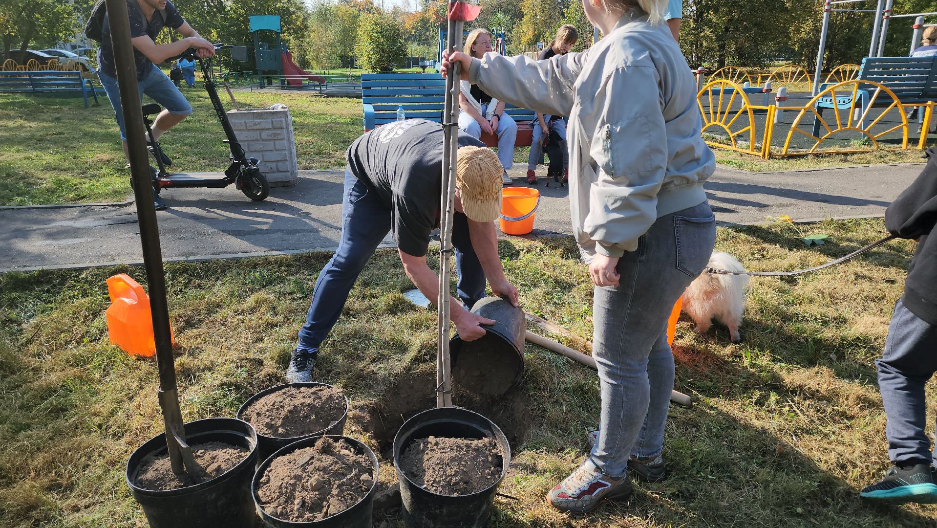 Пушкино, Мособлдума, Наш лес, Чистый лес, Городской округ Пушкинский, Кудринка, общество, экология, жители, люди,
