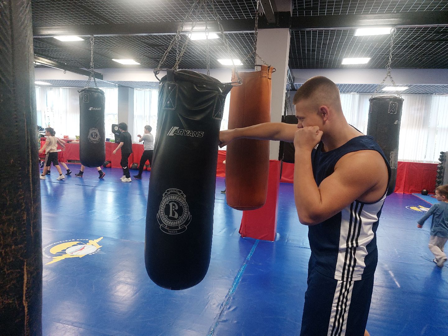 спорт подмосковья, Бокс, Чехов, Витязь, чемпионат россии, Спорт,