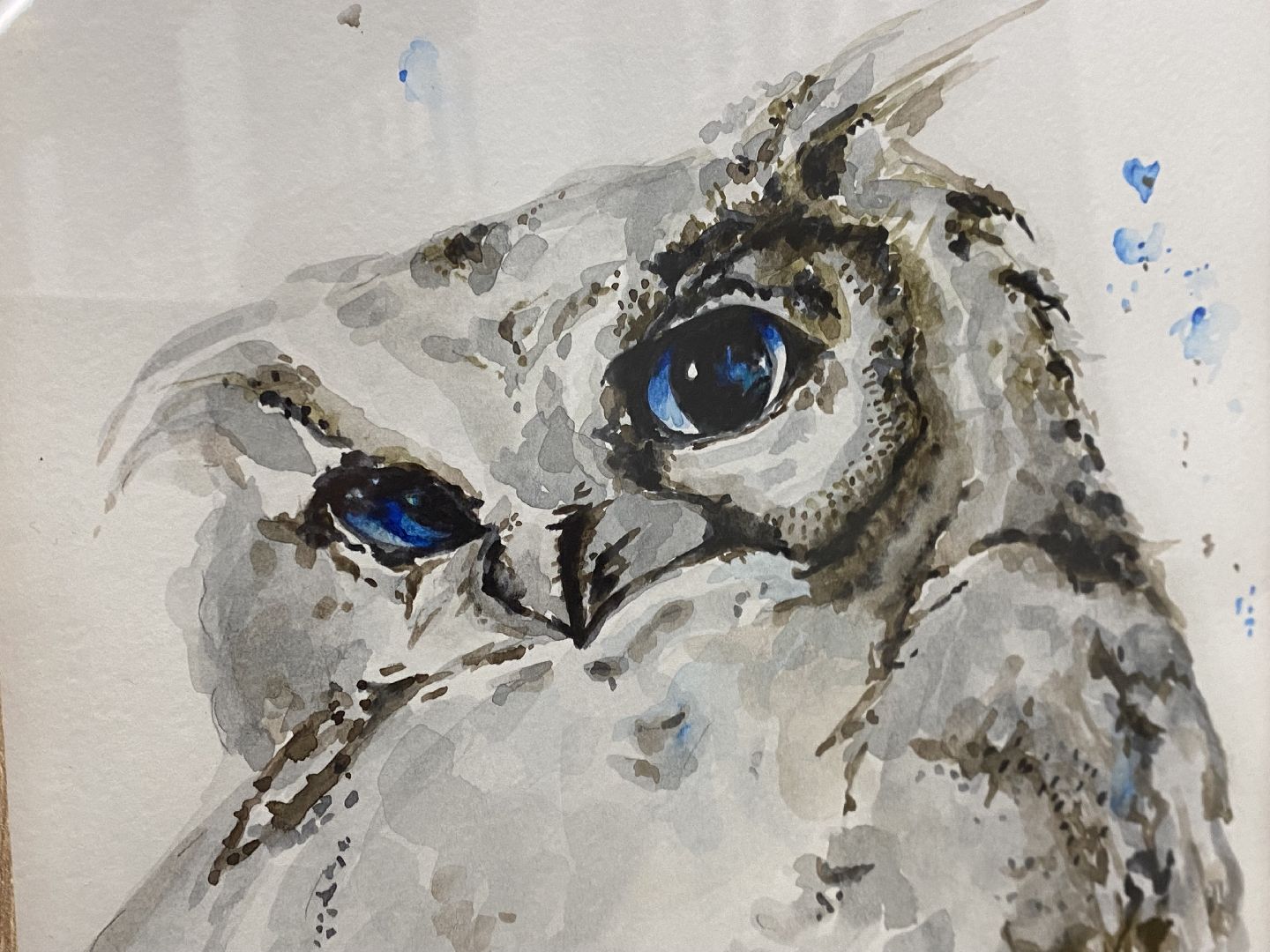 Балашиха, дк кучино, юный художник, Анимализм,