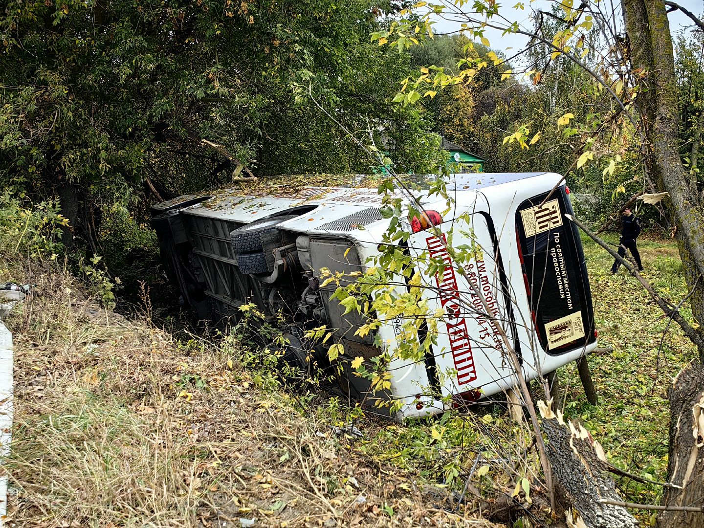 дтп, щёлково, дети,