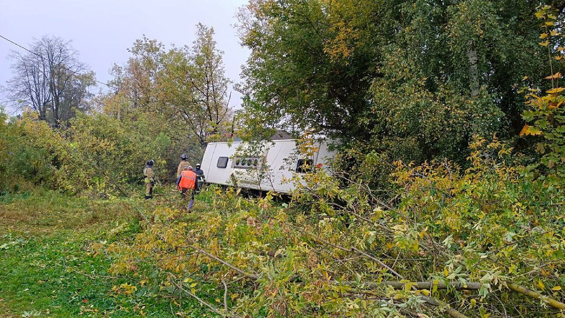 дтп, щёлково, дети,