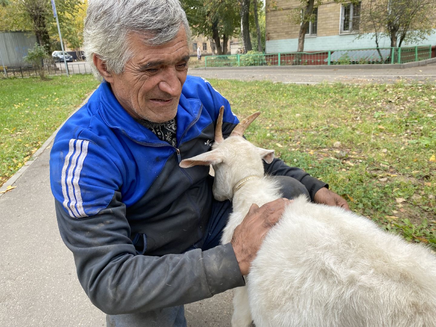Балашиха, Гусь друг человека, Микрорайон керамик, Автосервис,