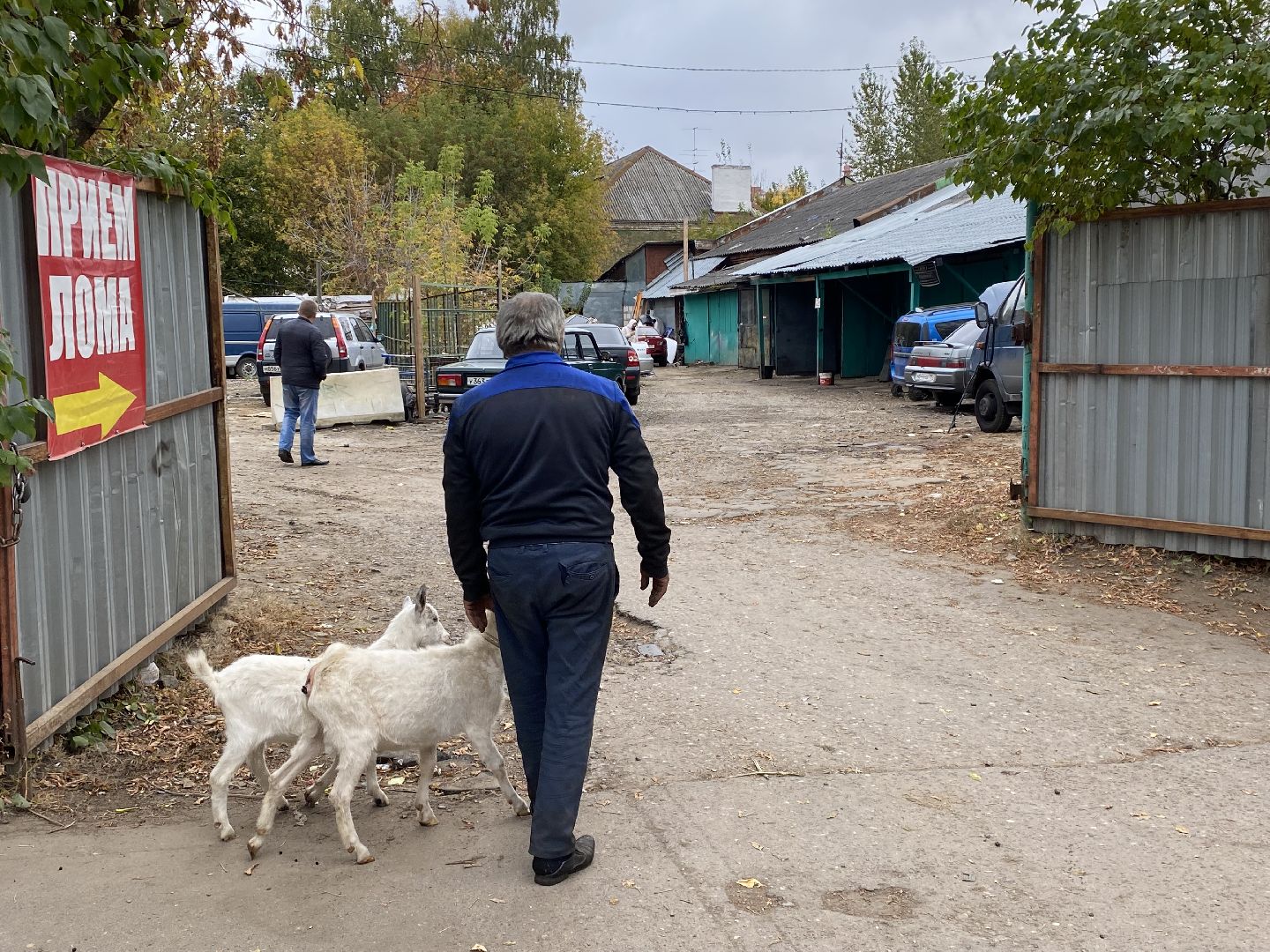 Балашиха, Гусь друг человека, Микрорайон керамик, Автосервис,