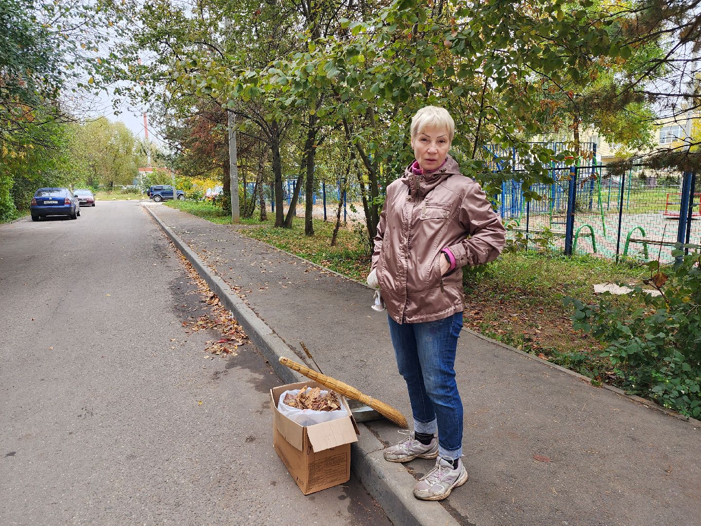 добродел, серпухов, улица подольская, бытовые отходы, региональный оператор, жск зенит, дворник,