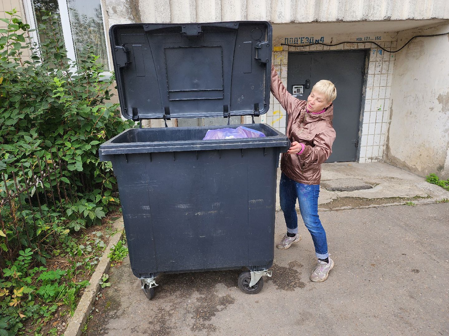 добродел, серпухов, улица подольская, бытовые отходы, региональный оператор, жск зенит, дворник,