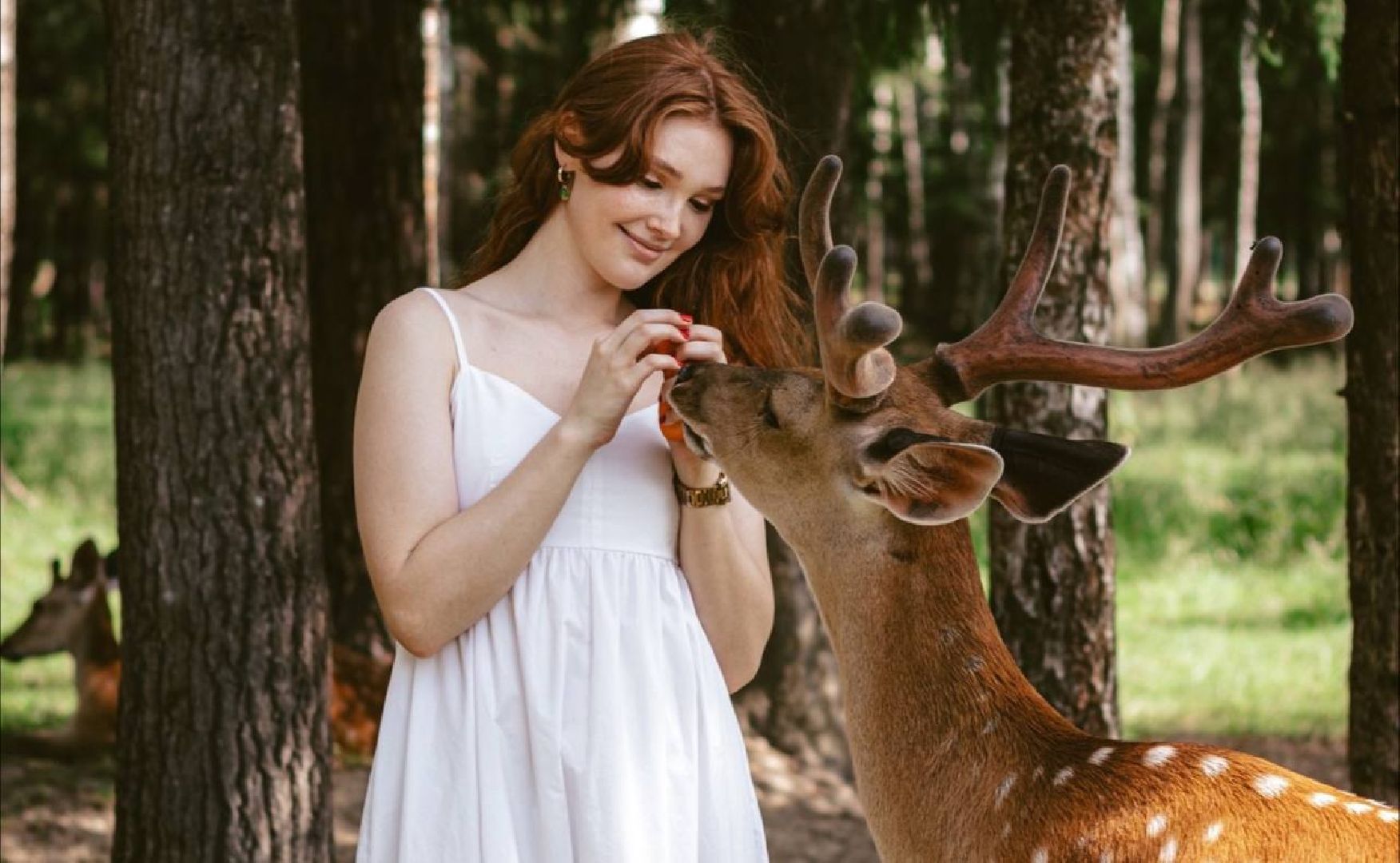 Реутов, фотография, фотосессия, снимки, природа, тик-токеры, блогеры,