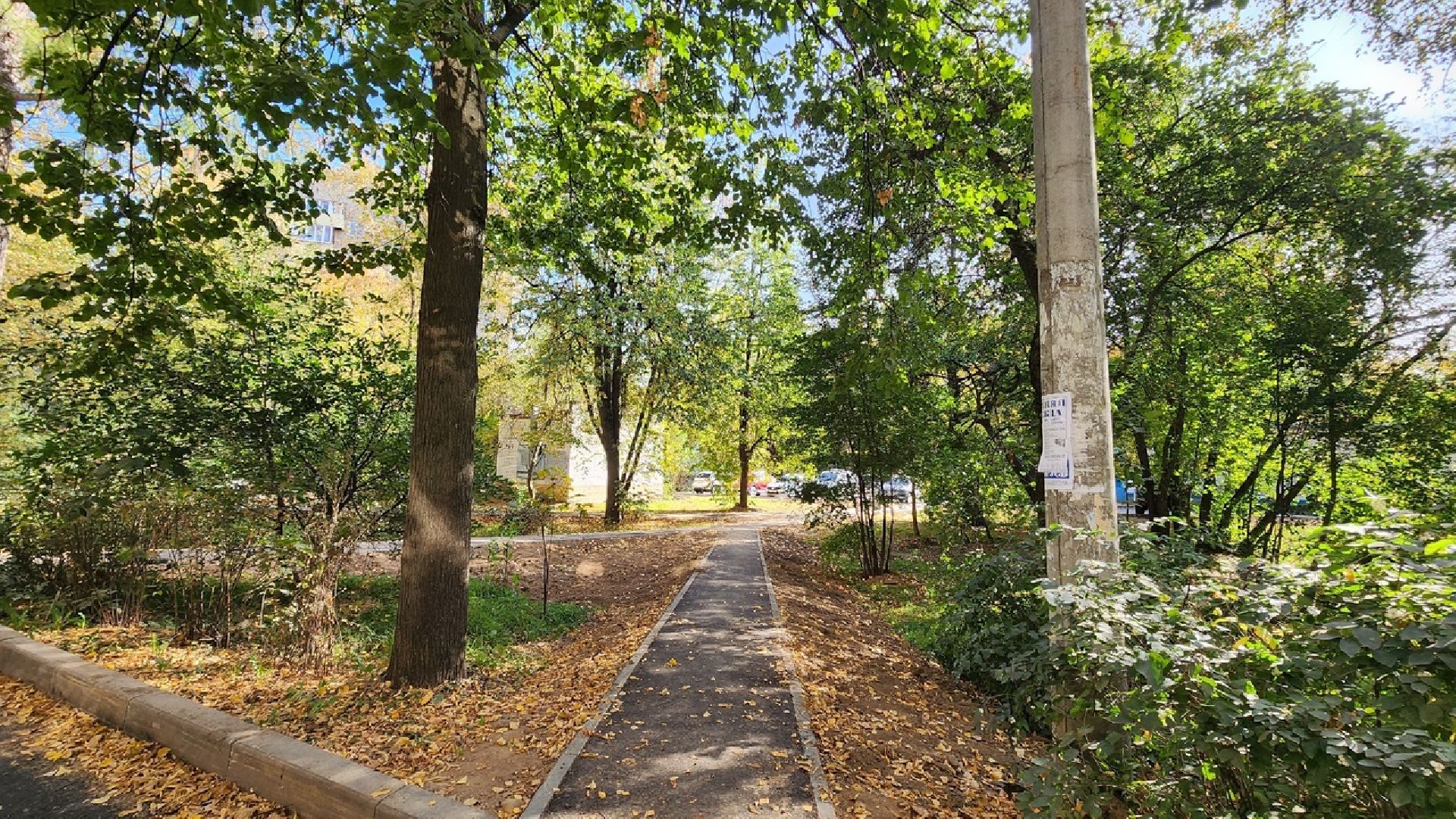 Солнечногорск, благоустровйство, дворы, дороги, Добродел,