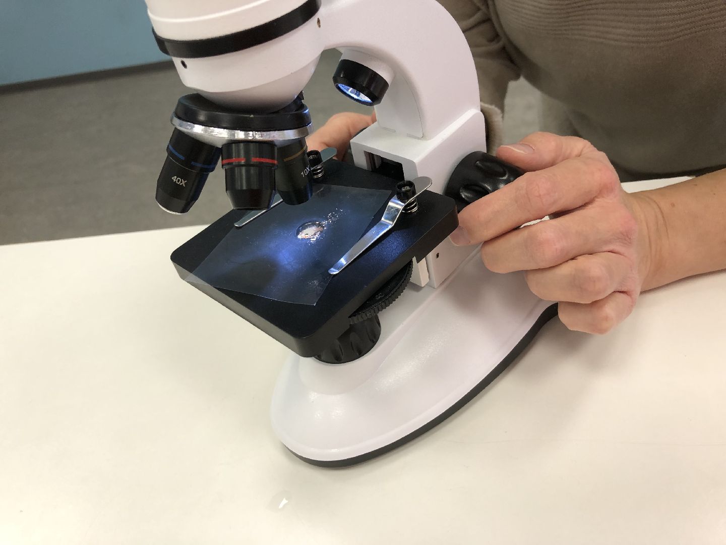 Биолог, грибы, Химки, подмосковные леса,