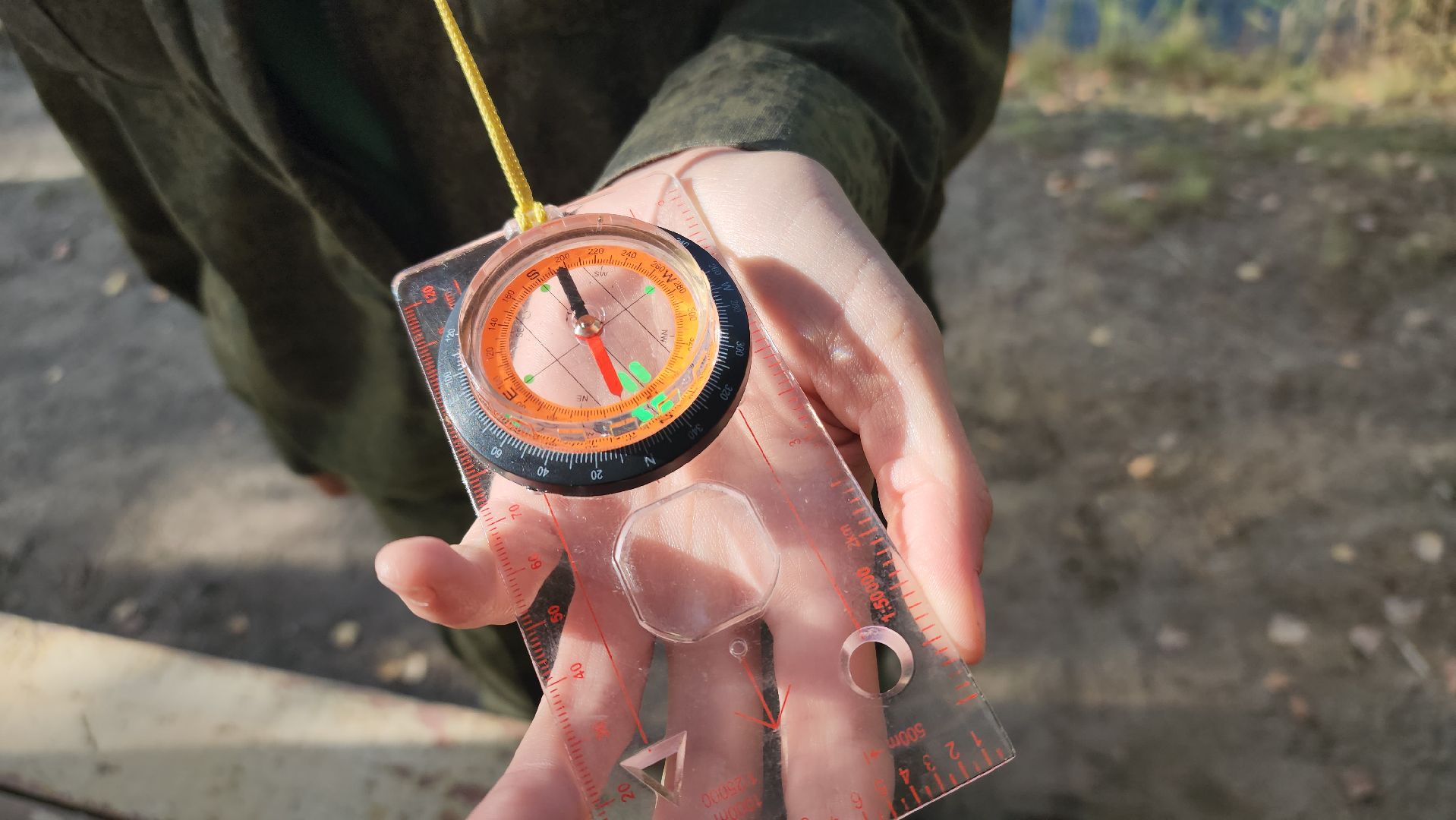 городского округ павловский посад, люди, лес, лесник, правила, безопасность,