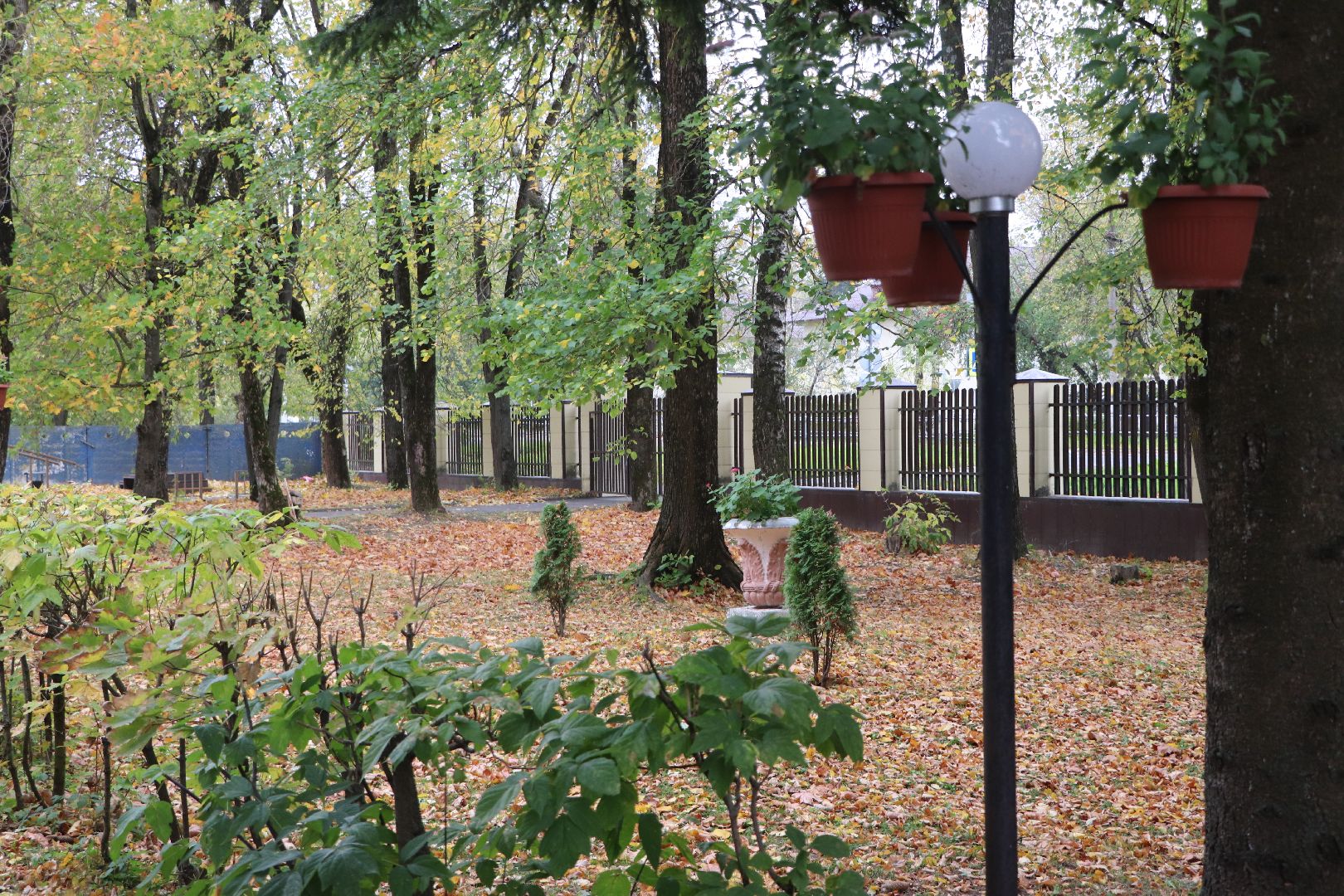 волоколамск, Центр слепых, реабилитация,