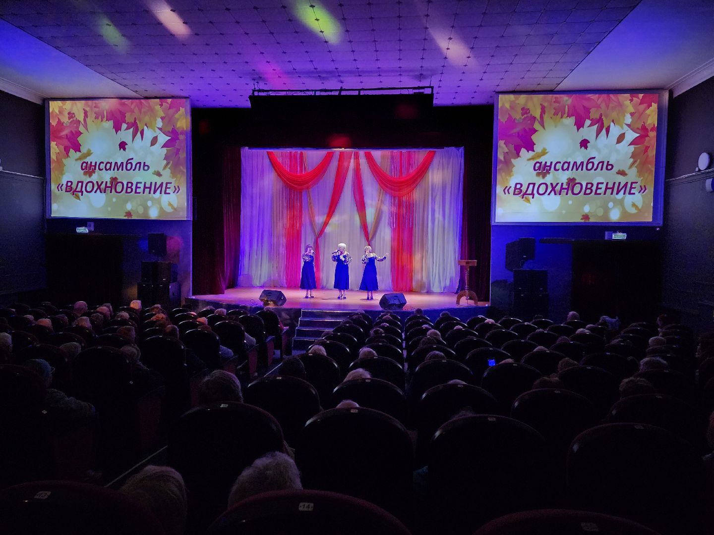 активное долголетие, ветераны, пожилые люди, день пожилого человека, егорьевск, подмосковье, губернатор, губернаторская программа, концерт,