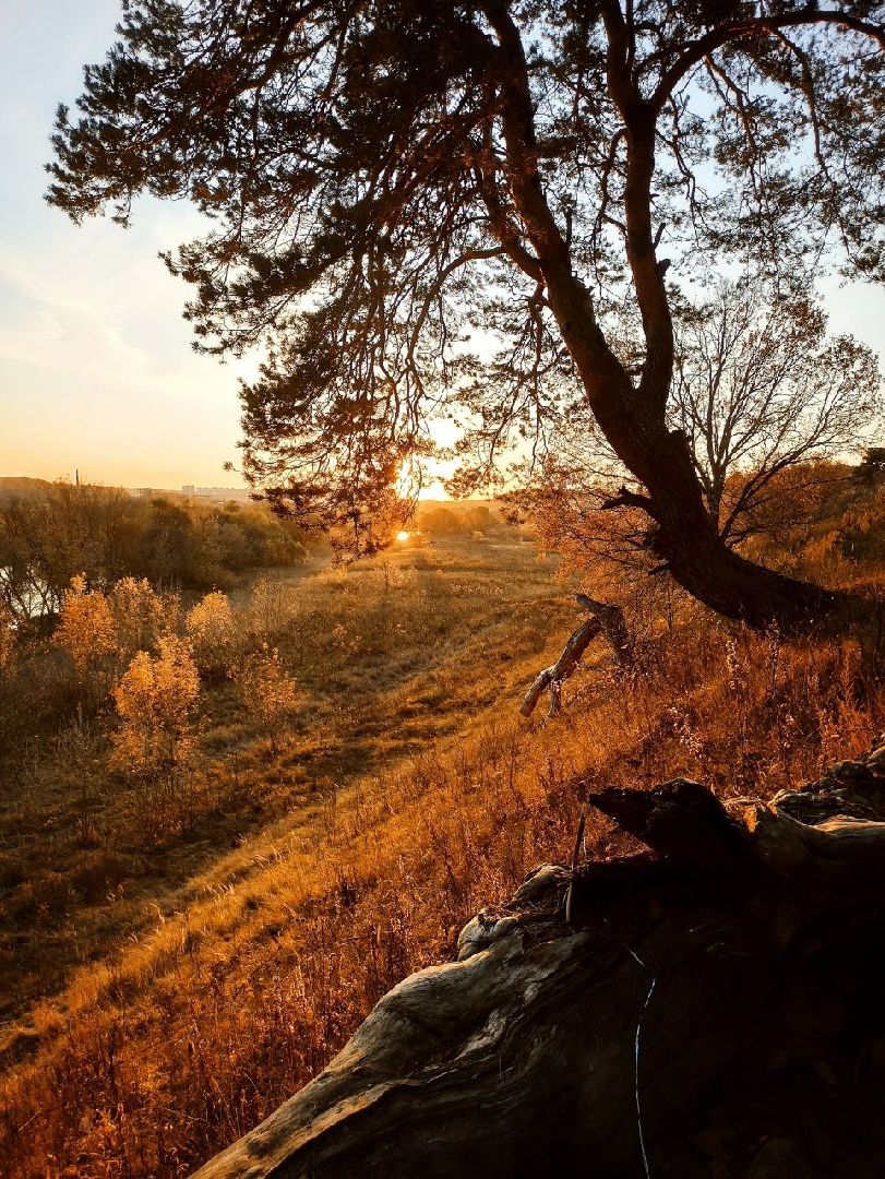 Звенигород, Туризм, Места для фотосессий, Красивые места Подмосковья,