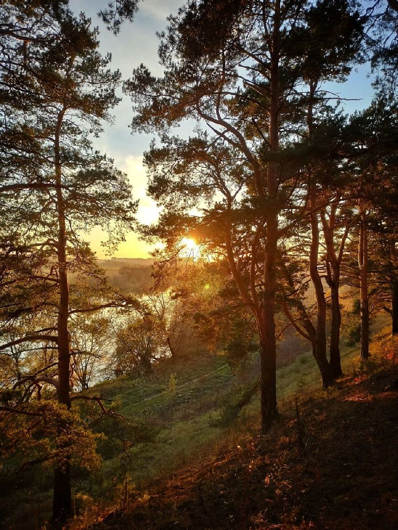 Звенигород, Туризм, Места для фотосессий, Красивые места Подмосковья,